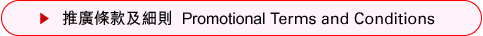 推廣條款及細則  Promotional Terms and Conditions