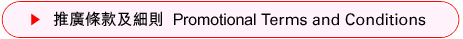 推廣條款及細則  Promotional Terms and Conditions