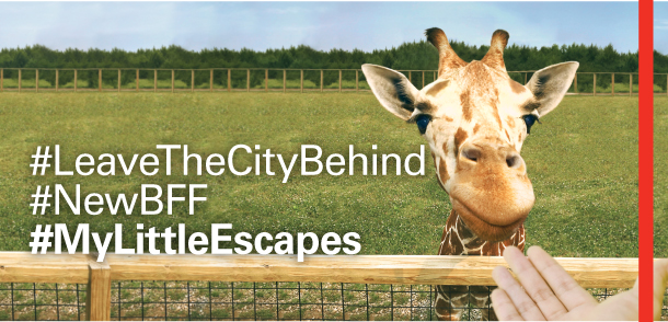 #LeaveTheCityBehind 
#NewBFF 
#MyLittleEscapes 