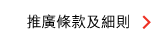 推廣條款及細則 