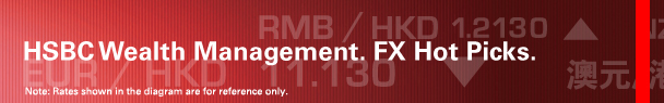 HSBC Wealth Management. FX Hot Picks.
Note: Rates shown in the diagram are for reference only.
