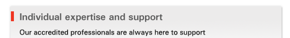 Individual expertise and support