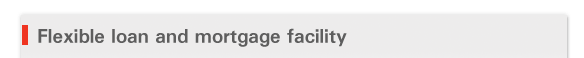 Flexible loan and mortgage facility