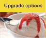 Upgrade options