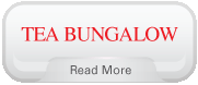Tea Bungalow