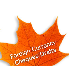 Foreign Currency Cheques/Drafts